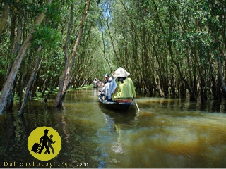 Tour du lịch xẻo quýt Miền Tây - mùa nước nổi 1 ngày