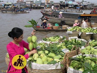 Tour du lịch Miền Tây Bến Tre Tiền Giang 1 ngày Tour du lịch Miền Tây Bến Tre Tiền Giang 1 ngày